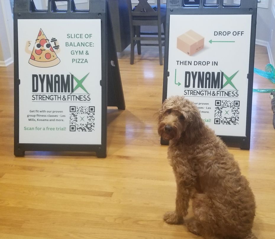 Two a-frame marketing signs for a group exercise studio in Omaha, NE with a golden doodle named Bear sitting in front of them
